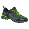 Pánské boty Salewa Ms Mtn Trainer Lite Gtx Velikost bot (EU): 44 / Barva: černá/zelená