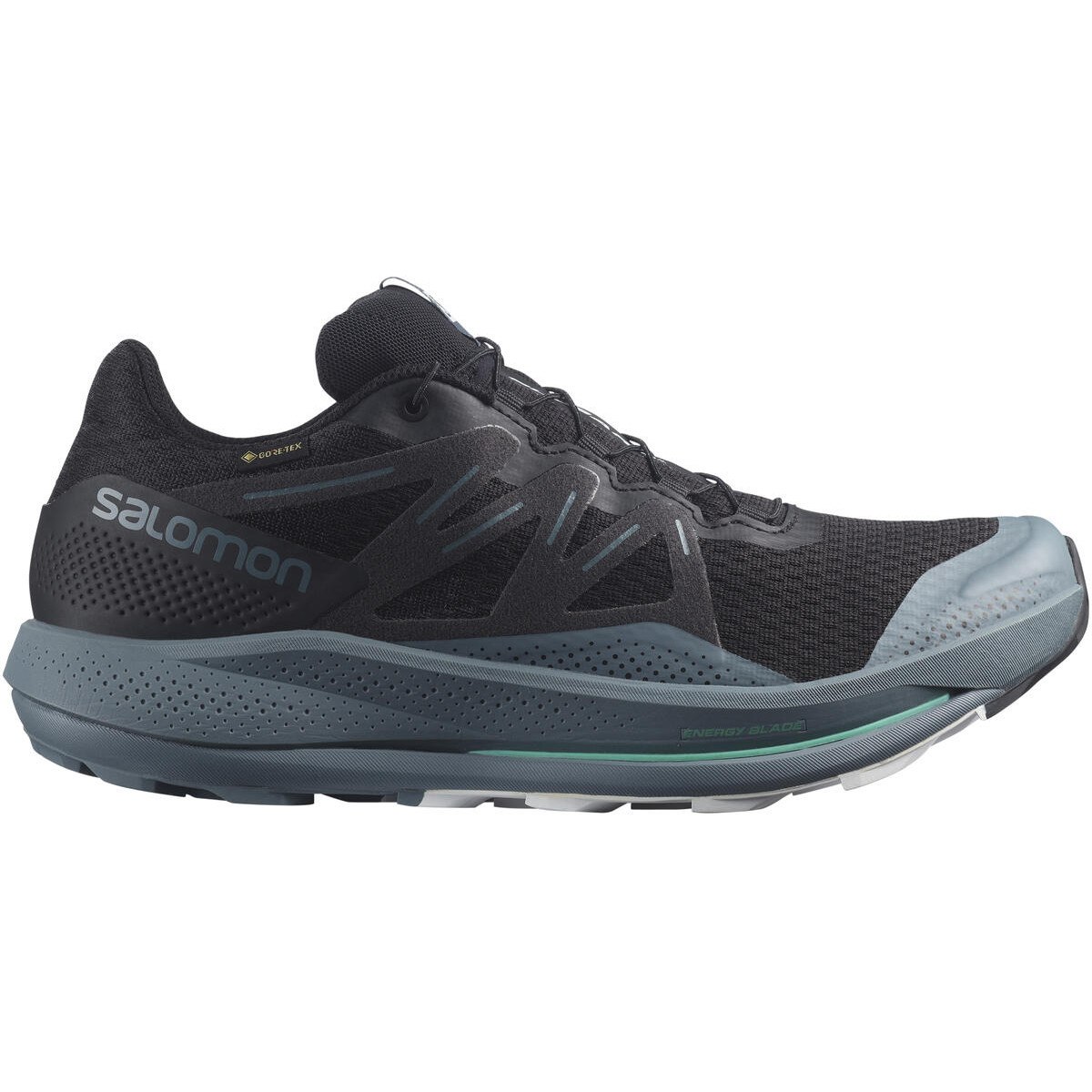 Pánské běžecké boty Salomon Pulsar Trail Gtx Velikost bot (EU): 46 / Barva: černá/modrá