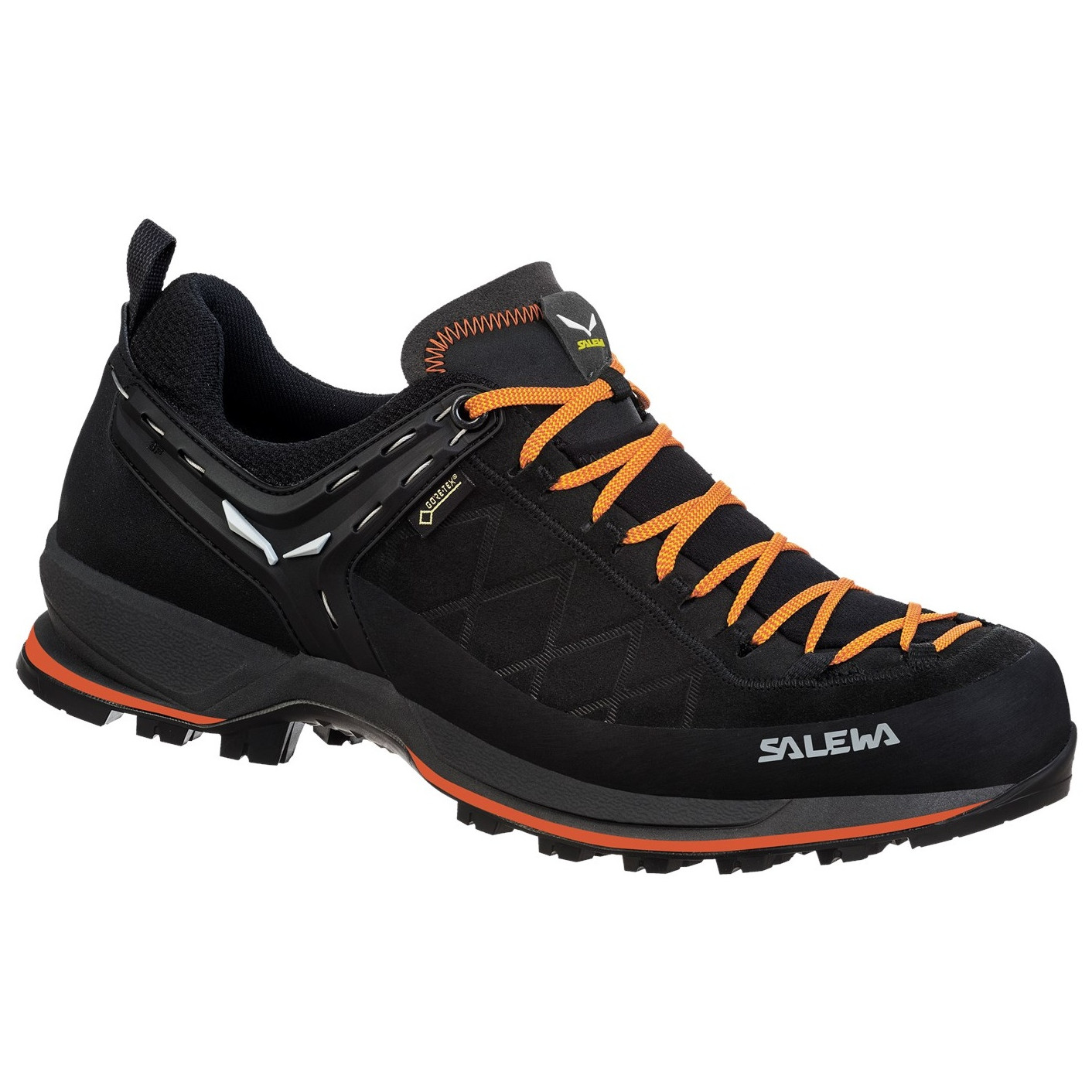 Pánské boty Salewa Ms Mtn Trainer 2 Gtx Velikost bot (EU): 44 / Barva: černá
