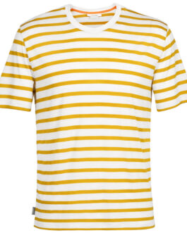 Pánské triko Icebreaker Drayden SS Tee Stripe Velikost: XL / Barva: béžová