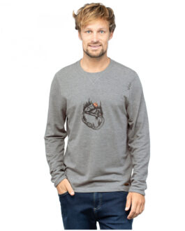 Pánské triko Chillaz Kaprun Carabiner Forest Velikost: L / Barva: šedá