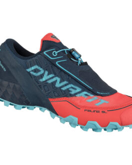 Dámské běžecké boty Dynafit Feline Sl W Gtx Velikost bot (EU): 39 / Barva: modrá/růžová
