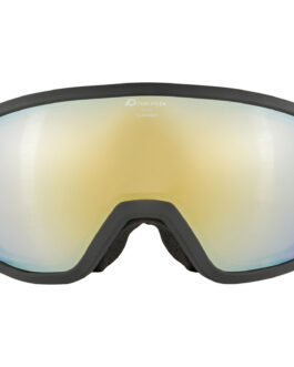 Lyžařské brýle Alpina Scarabeo Q Lite Barva: černá