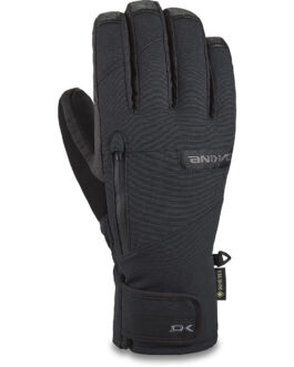 Rukavice Dakine Leather Titan Gore-Tex Velikost: L / Barva: černá