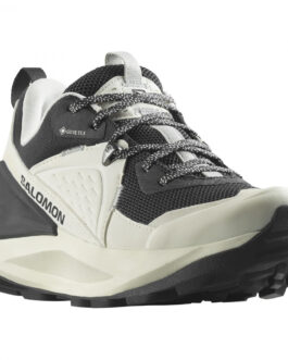 Dámské boty Salomon Elixir Gore-Tex Velikost bot (EU): 38 / Barva: béžová