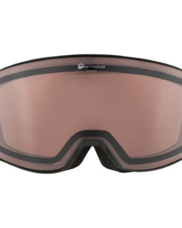 Lyžařské brýle Alpina Nakiska Q Barva obrouček: černá